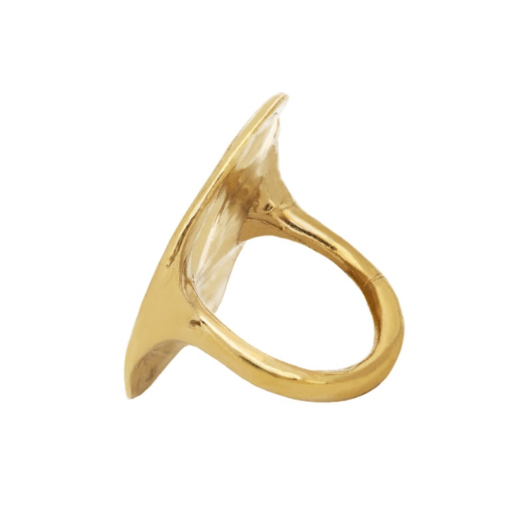 Soaked Ring