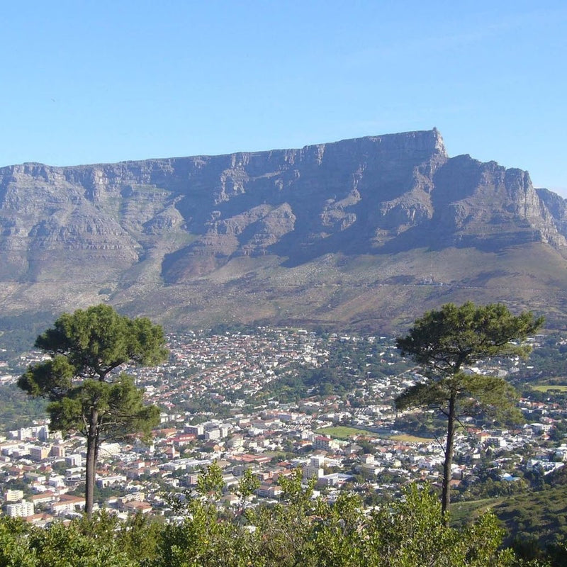 Table Mountain Ring