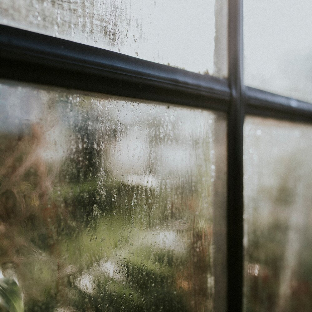 window pane
