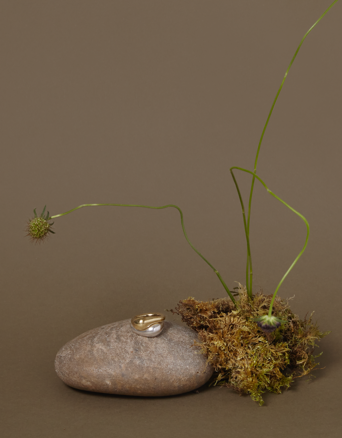 Moss