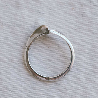 landslide ring