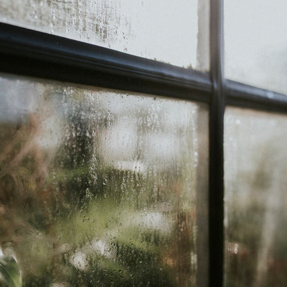 window pane